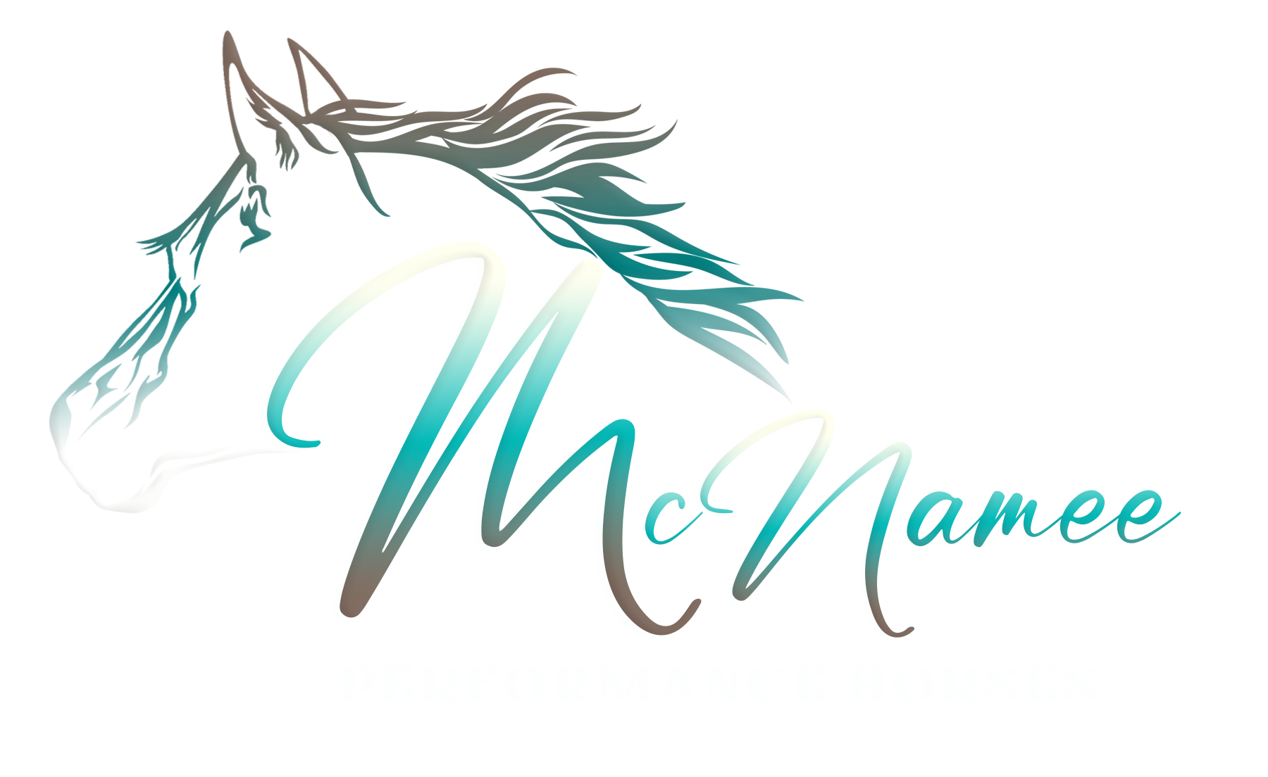 McNamee Performance Horses